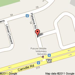 googleMap 
