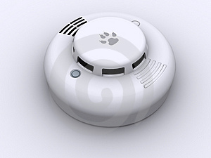 small product photo